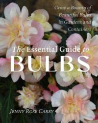 book cover of 'The Essential Guide to Bulbs' by Jenny Rose Carey