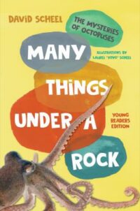 book cover of 'Many Things Under a Rock' by David Scheel