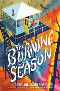 Juvenile Novels in Verse