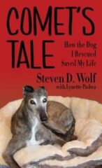 cover image of book Comet's Tale