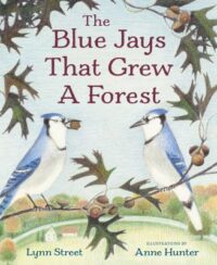 book cover of 'The Blue Jays that Grew a Forest' by Lynn Street