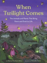 book cover of 'When Twilight Comes' by Marcie Flinchum Atkins