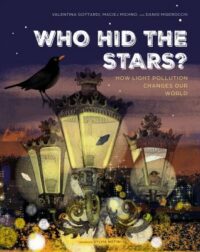 book cover of 'Who hid the stars?' by Valentina Gottardi
