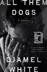 New Debut Novels