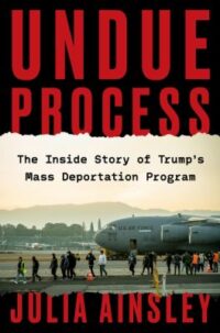 book cover of 'Undue Process' by Julia Ainsley