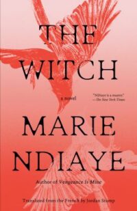 book cover of 'The Witch' by Marie NDiaye